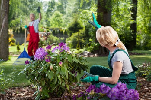 Overgrown garden being cleared in Coney Hall