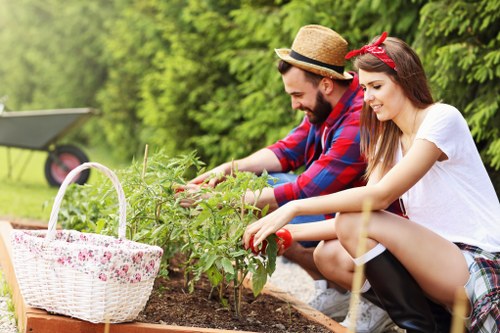 Gardening services in Coney Hall with a neatly maintained lawn and trimmed borders