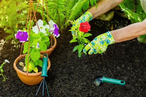 Low-maintenance garden landscaping features in Coney Hall