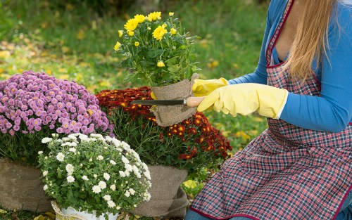 Transparent pricing for gardeners serving Coney Hall homes