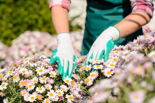 Hard landscaping features for a Coney Hall garden makeover