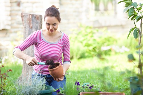 Coney Hall garden maintenance with seasonal planting and lawn care