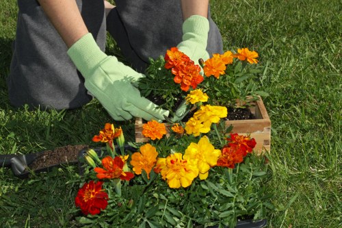 Green waste collection for garden clearance in Coney Hall