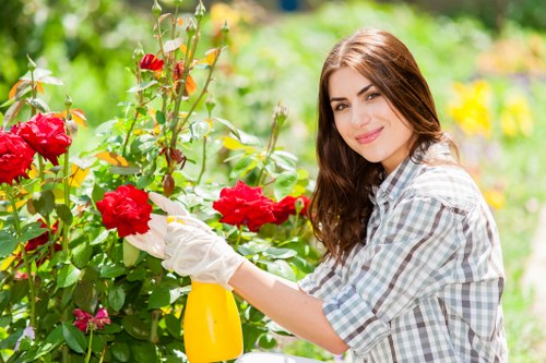 Seasonal lawn maintenance in Coney Hall with mowing and soil care