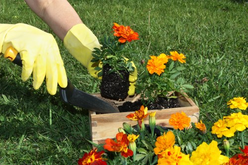 Aeration and feeding treatments for lawns in Coney Hall gardens