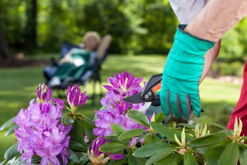 Professional patio cleaning service in Coney Hall treating stone paving