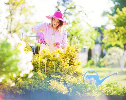Coney Hall garden lawn and hedge care by local gardeners