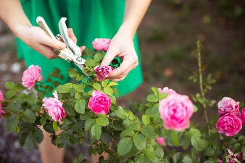 Accessibility request support for Gardeners Coney Hall users