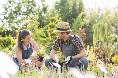 Professional gardening services in Coney Hall for lawn care and planting