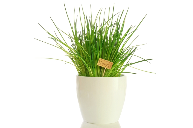 garden property