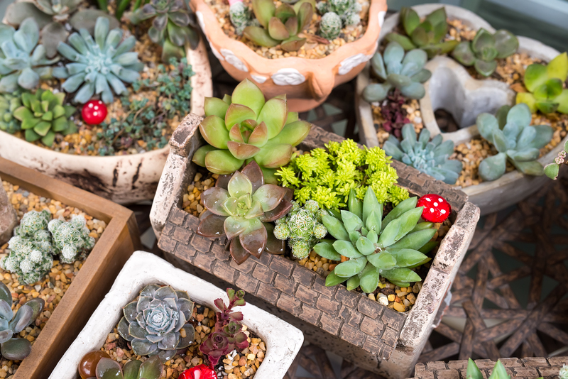 garden Property